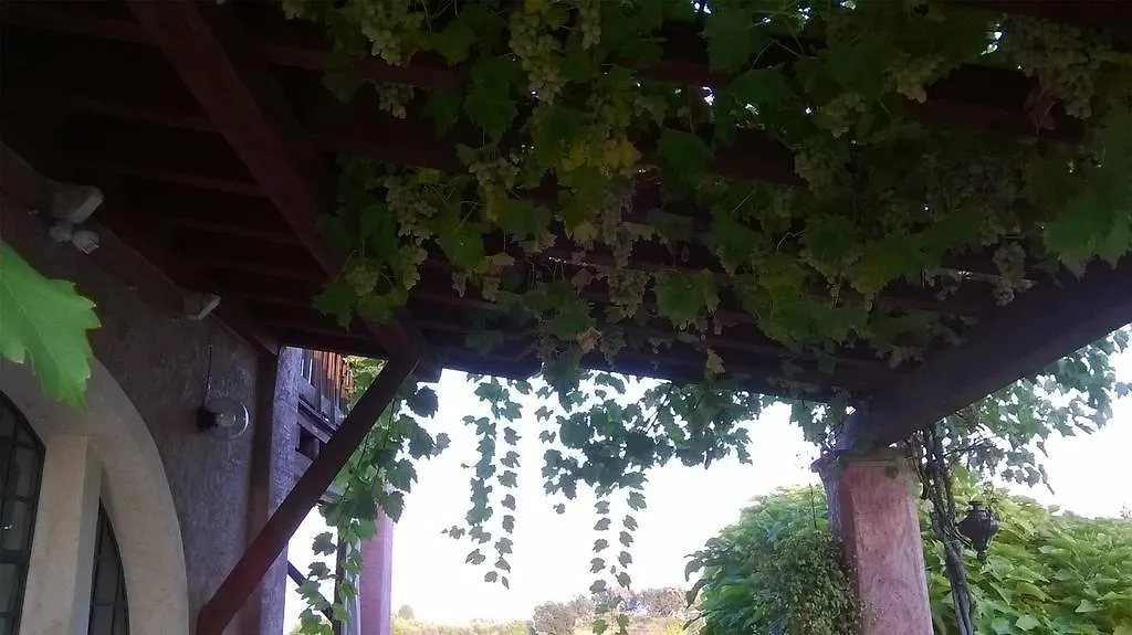 Bed And Breakfast Posserle 加达湖畔帕登赫